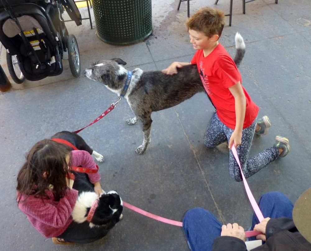 paradmutts0151.jpg