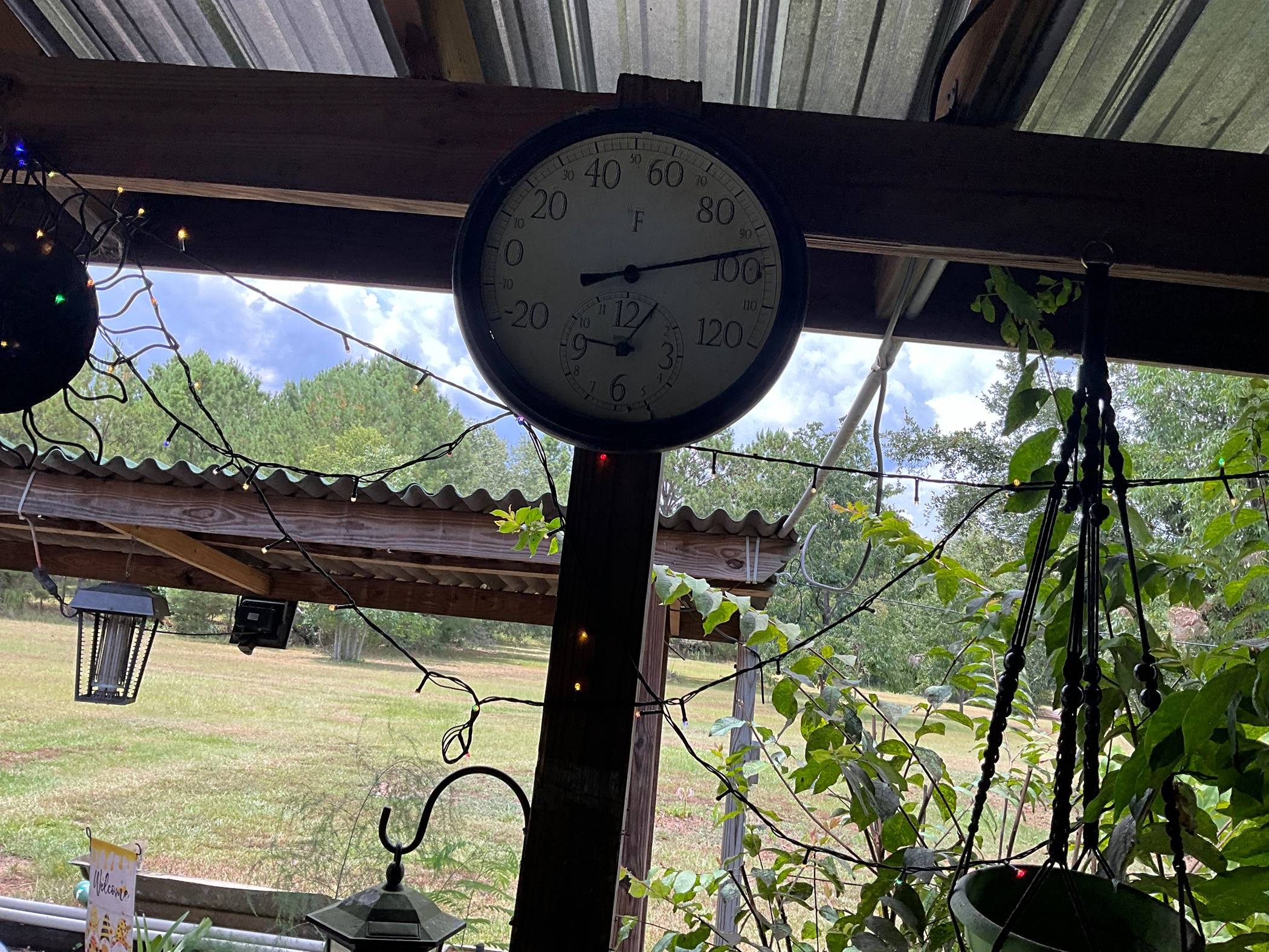 IMG_0062.jpeg