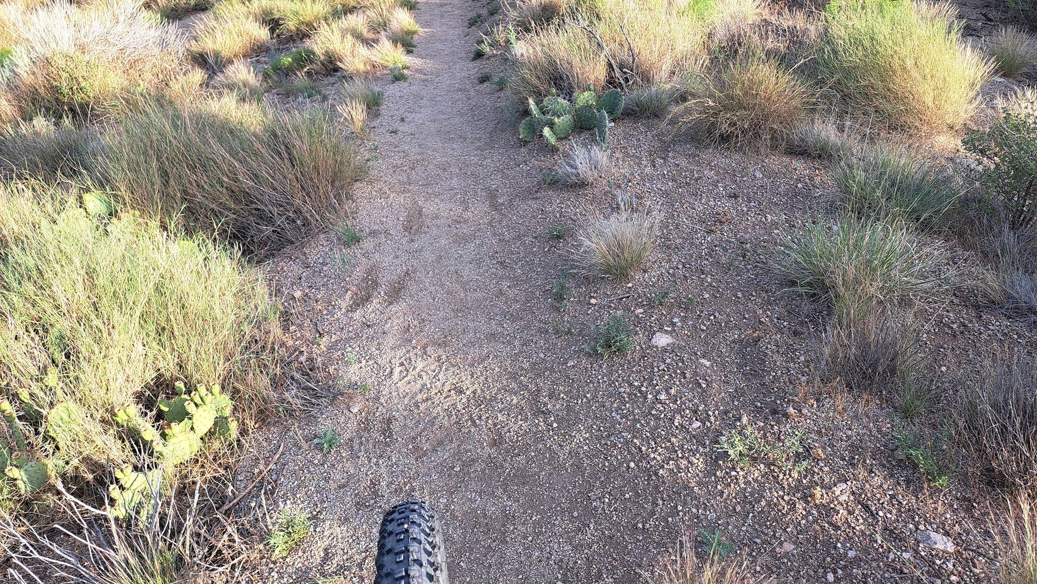 Trail 1 (Tire) jpg.jpg
