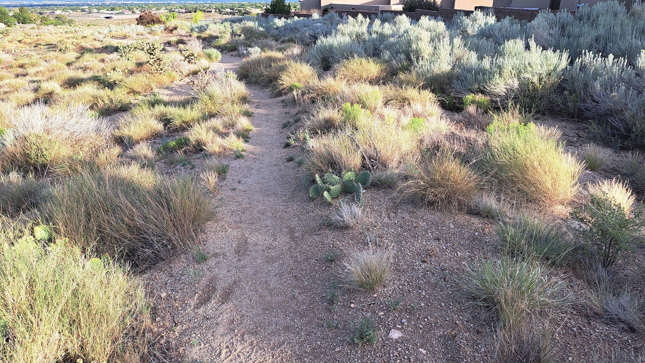 Trail 1 (jpg).jpg