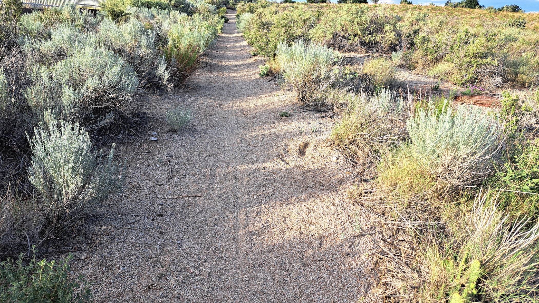 Trail 2 (jpg).jpg