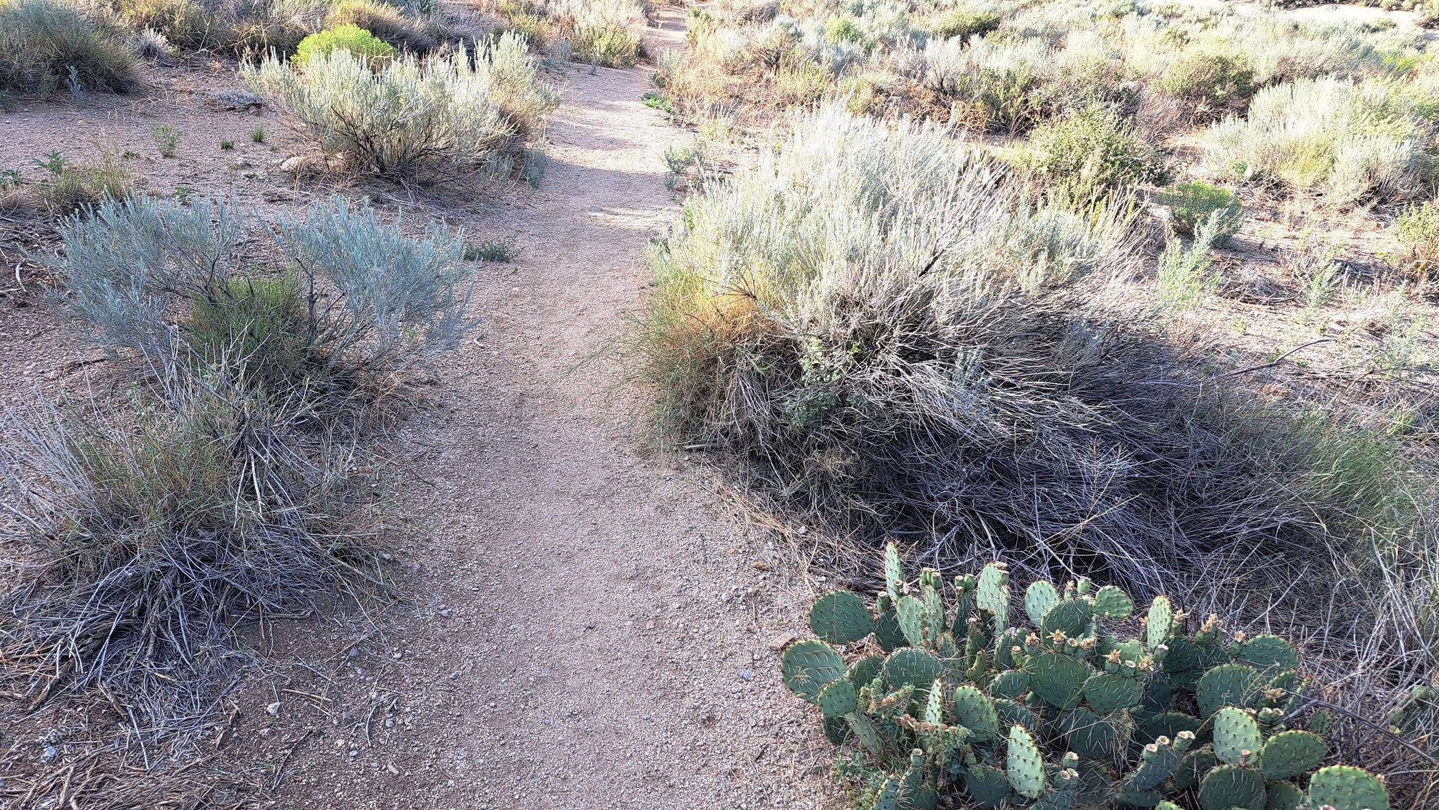 Trail 3 (jpg).jpg