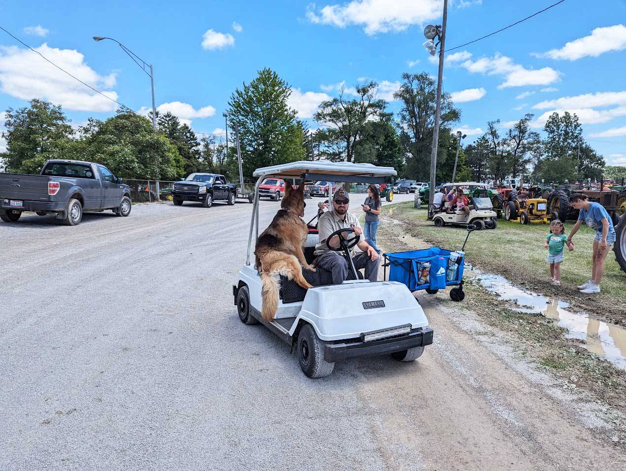 dog at tractor show mod.jpg