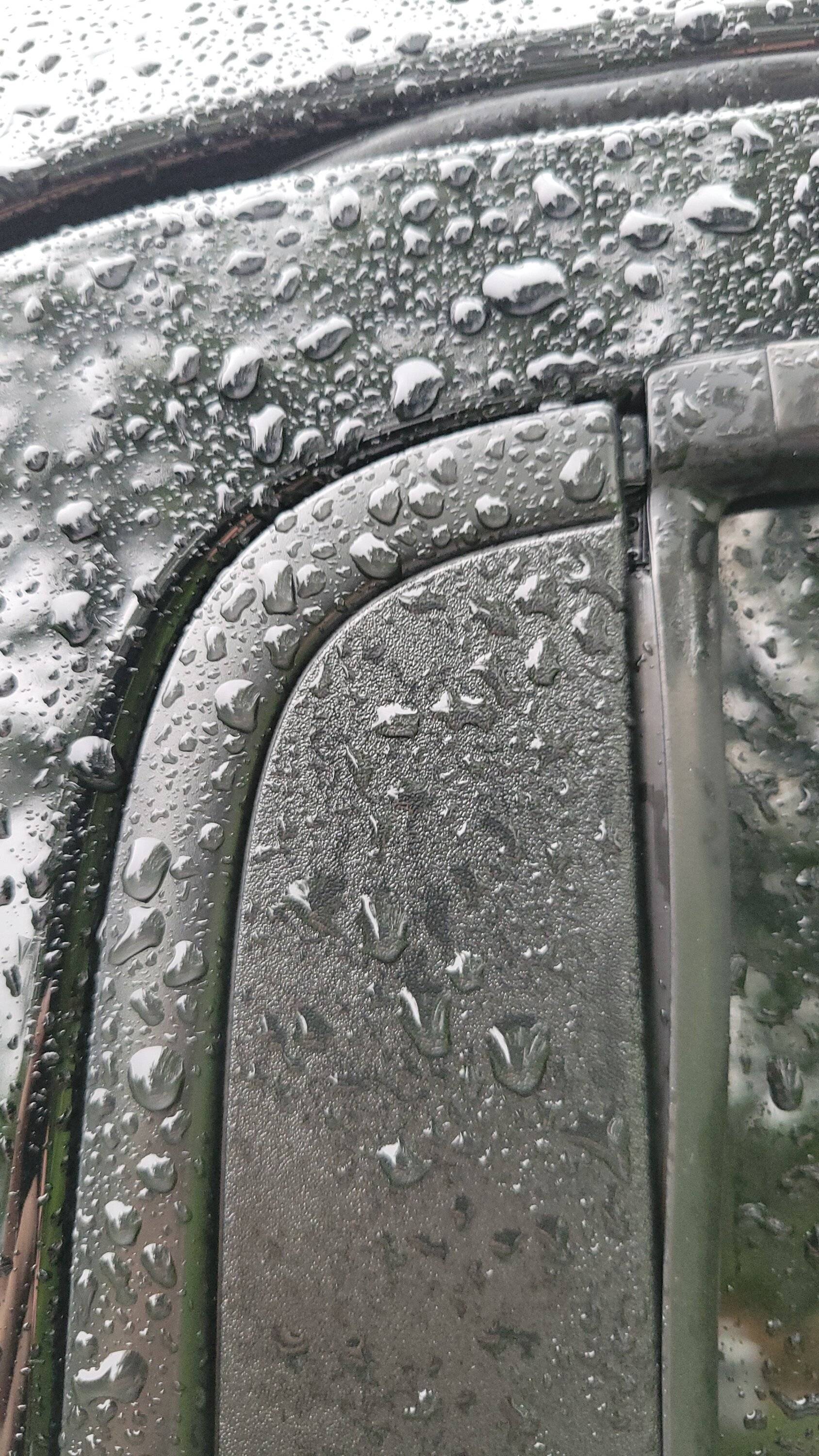 1000032307.jpg