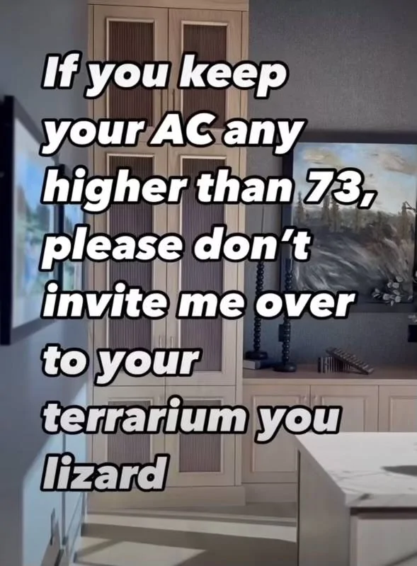Terrarium.webp