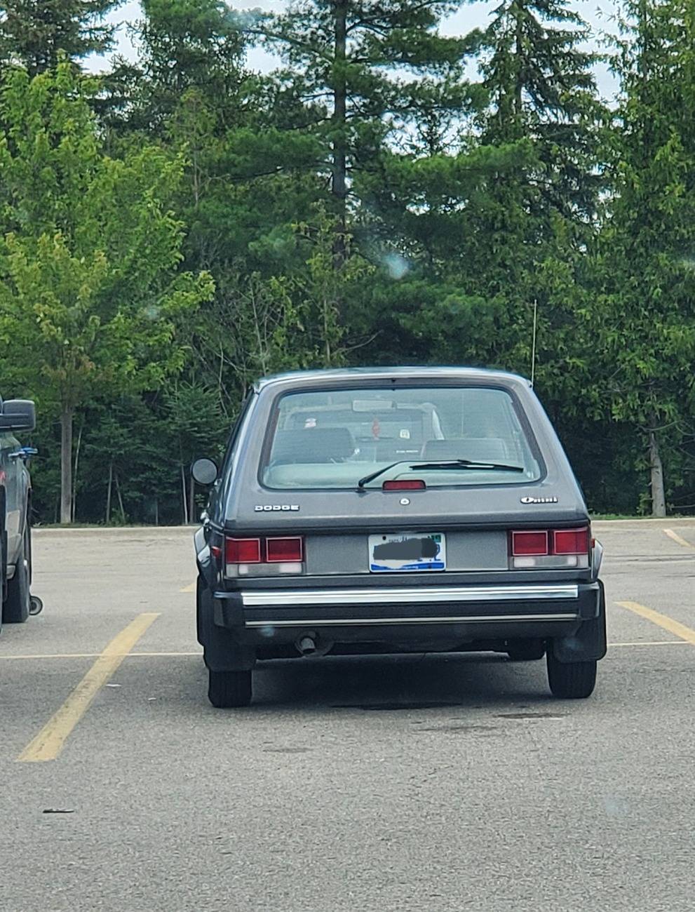 20240708_182822.jpg