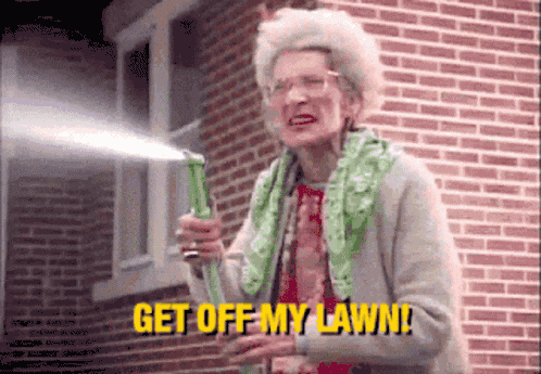 IMG_20240717_093118.gif