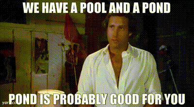 12e0755c-dff7-420f-a890-74b29914990f_text.gif