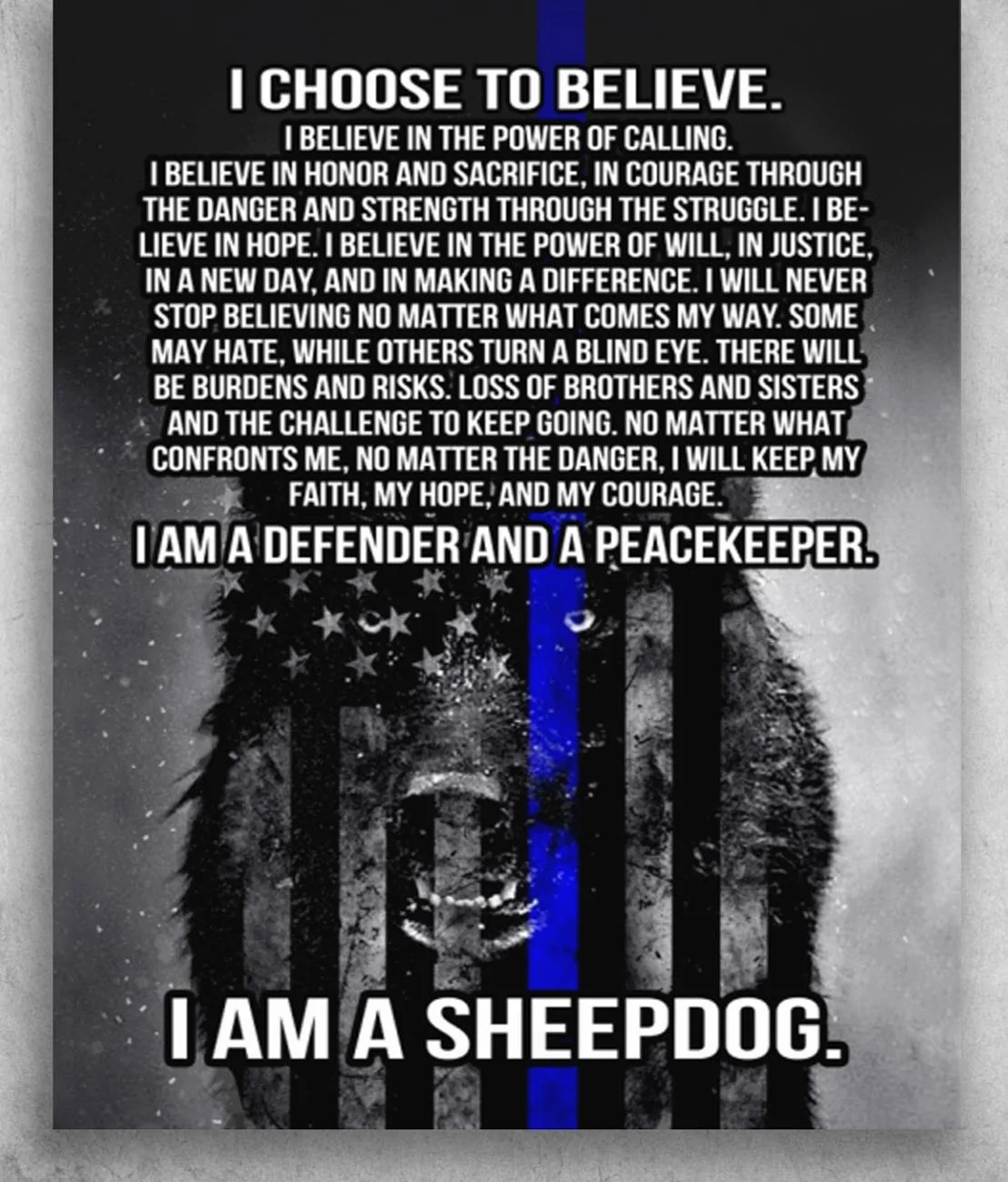 I-Choose-To-Believe-I-Am-A-Defender-And-A-Peacekeeper-I-Am-A-Sheepdog.jpg