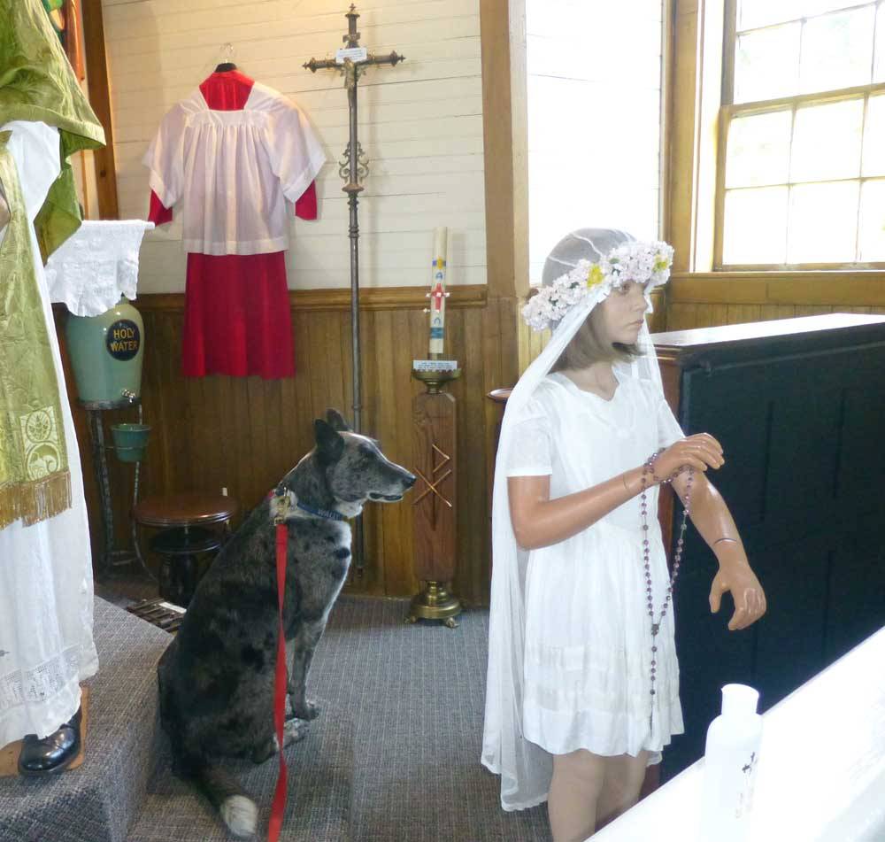 dogsblessed20.jpg