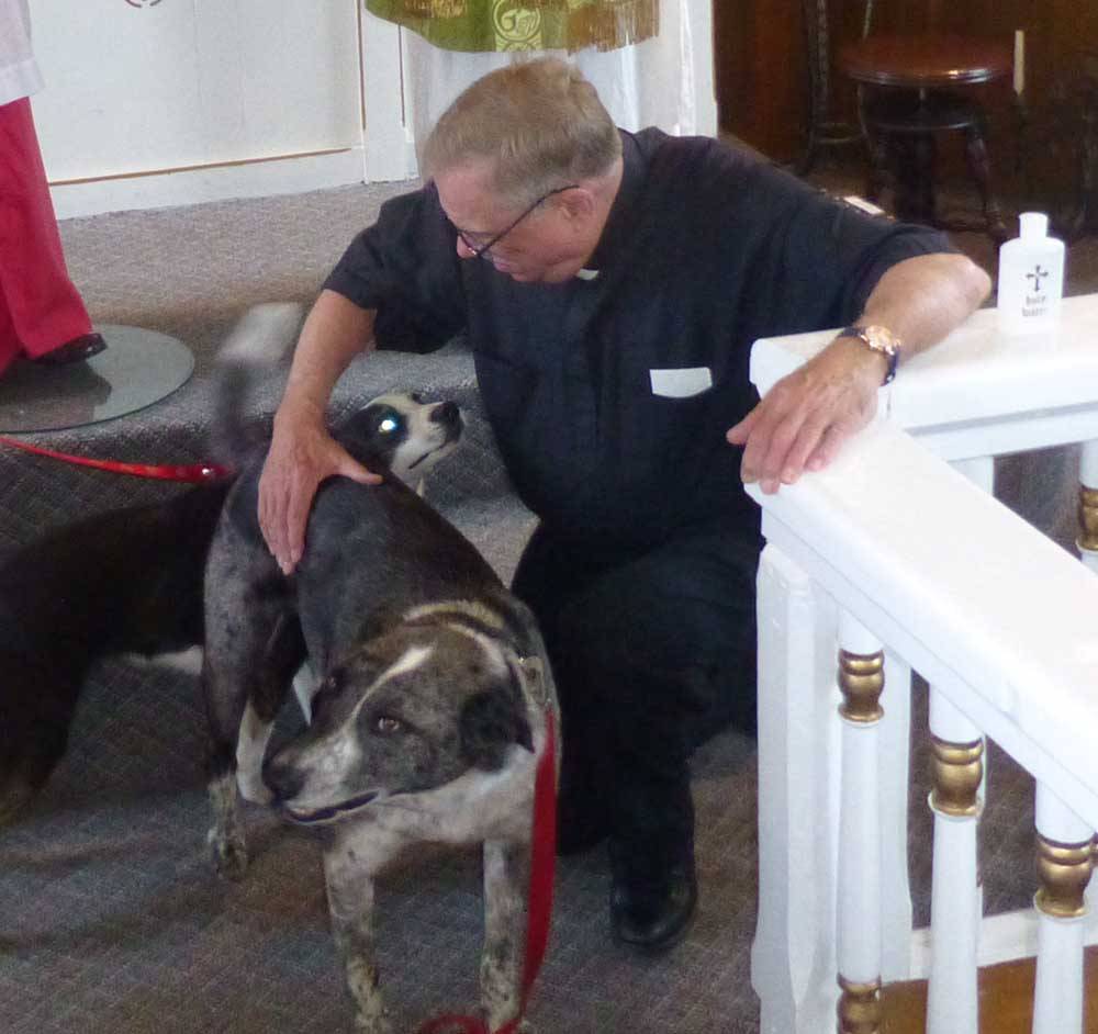 dogsblessed623.jpg