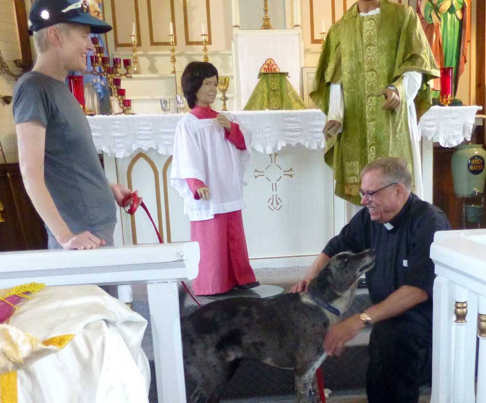 dogsblessed624.jpg