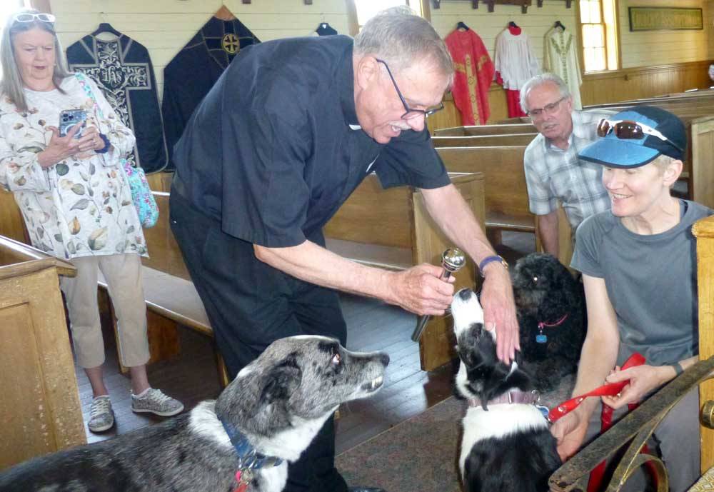 dogsblessed630.jpg