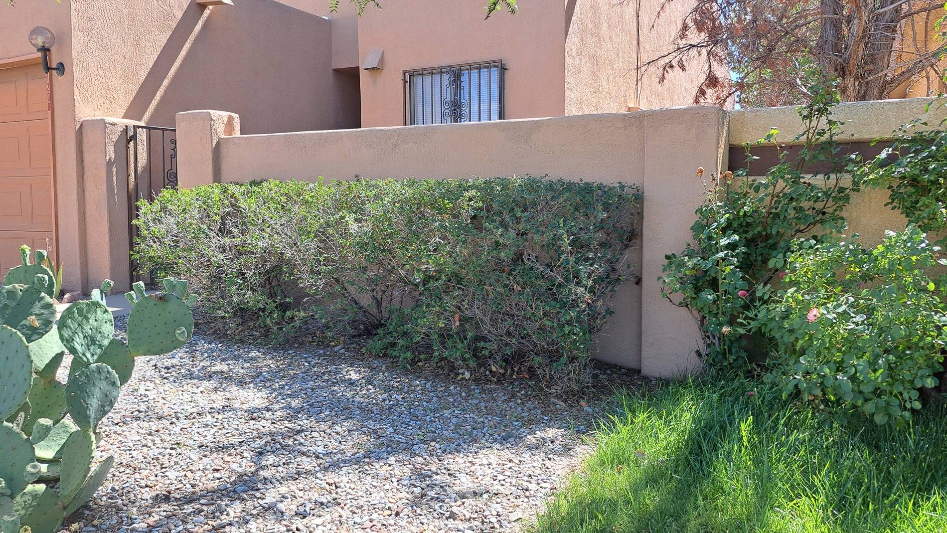 Front yard (hedge 2) jpg.jpg