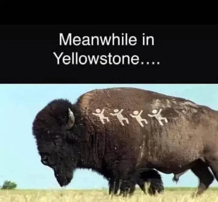 Yellowstone.webp