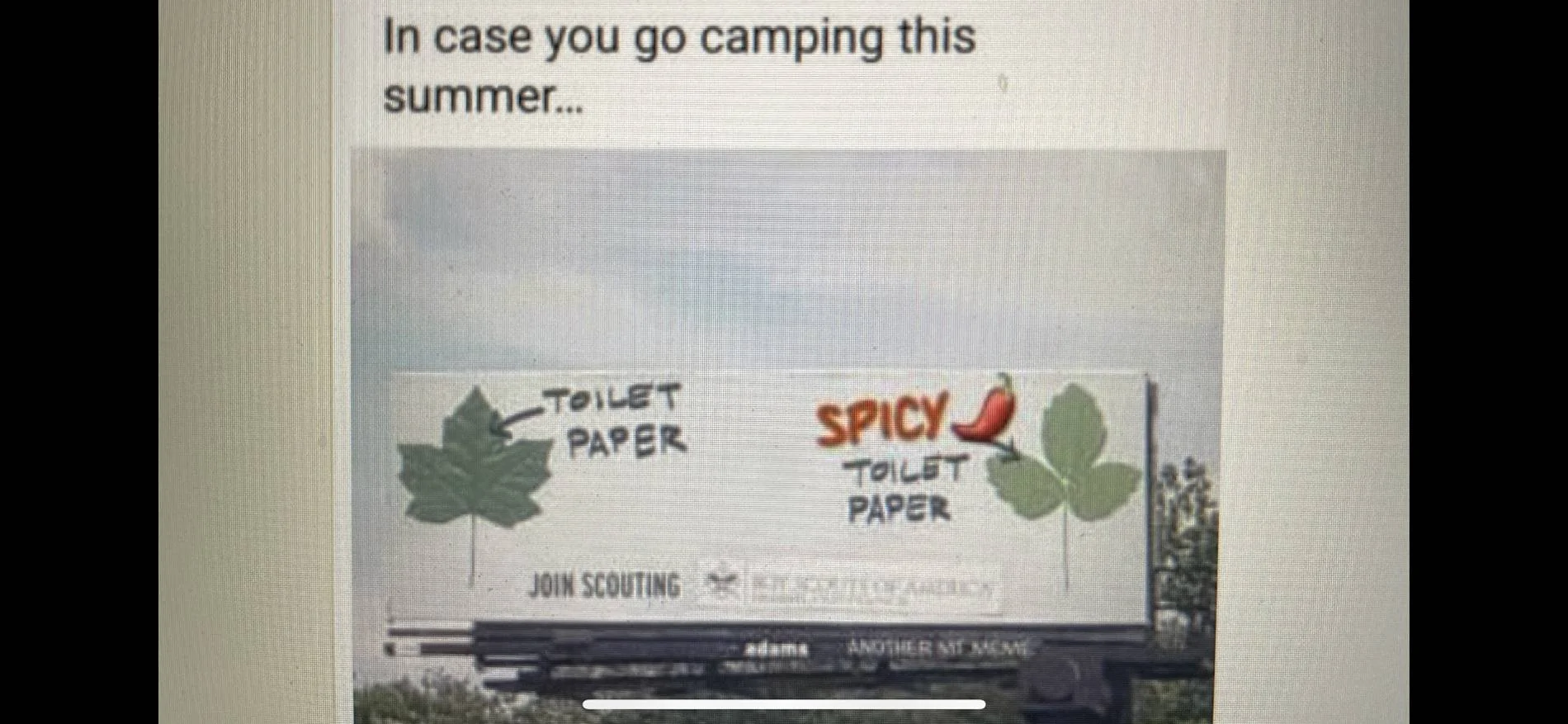 spicy tp.webp