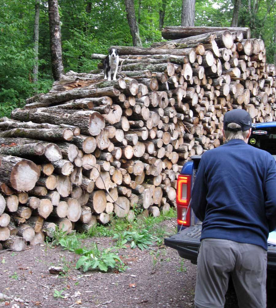 rangerlog578.jpg