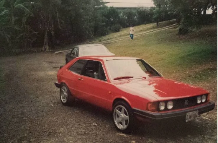 rocco.webp