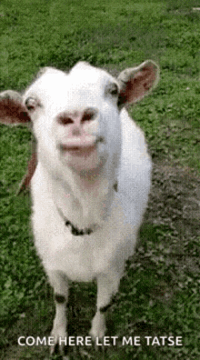 1724933337354-bn.gif