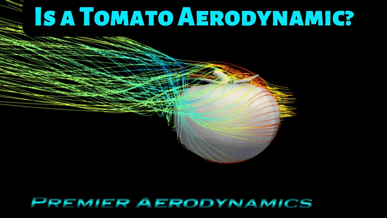 1725544800842-5x.png
