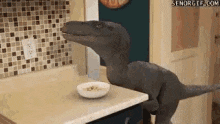 velociraptor-push.gif