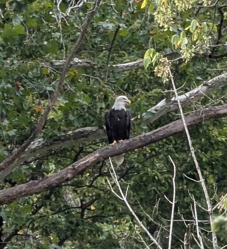 eagle parklands 9_6_24 (6).jpg