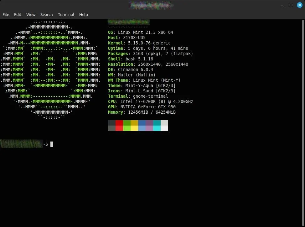 Mint  Terminal .webp
