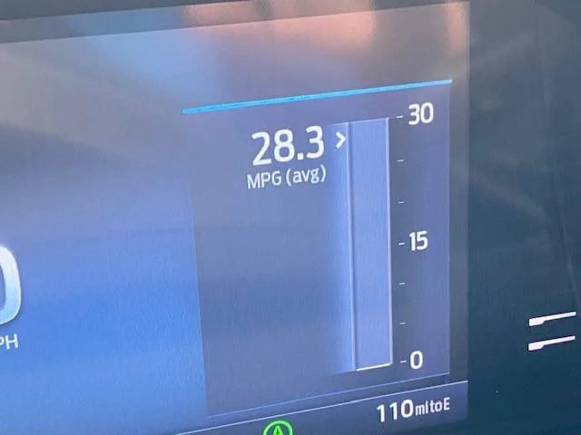 gass.jpg