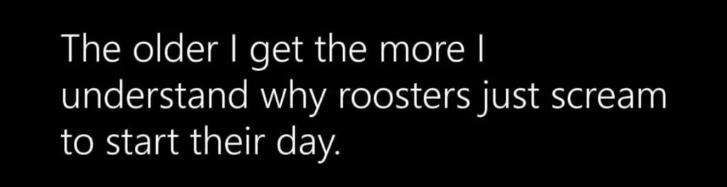 Rooster.webp