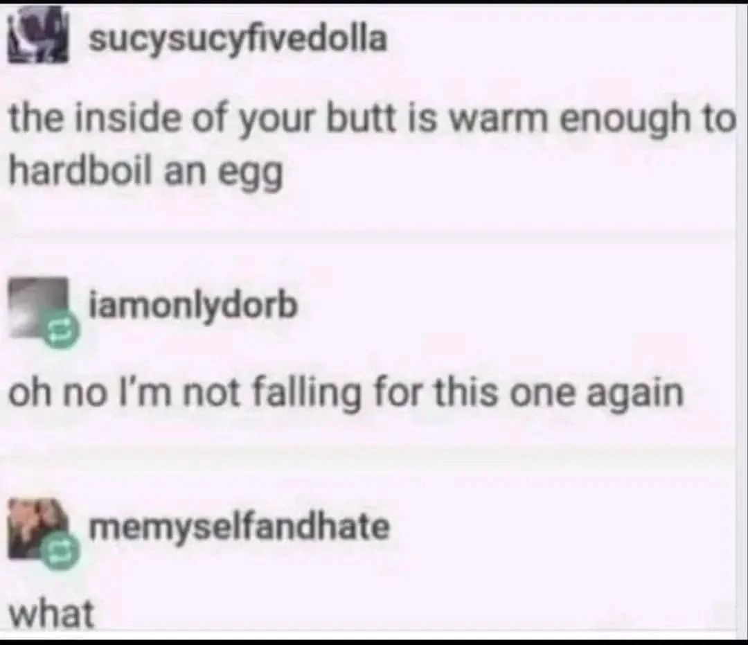 Boiled Egg.webp