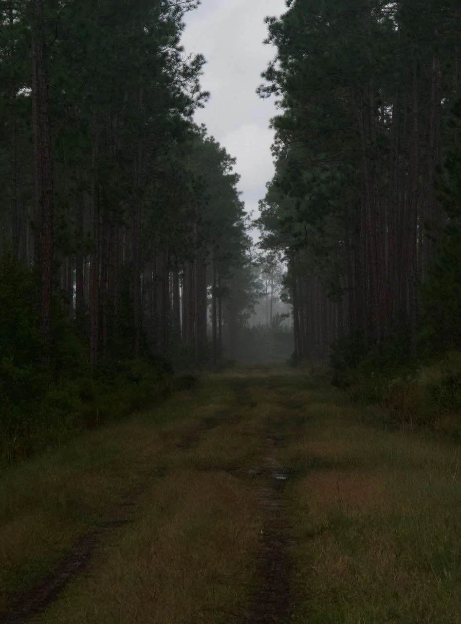 48998046-FACA-4860-A2F0-E91A5A813F74.webp