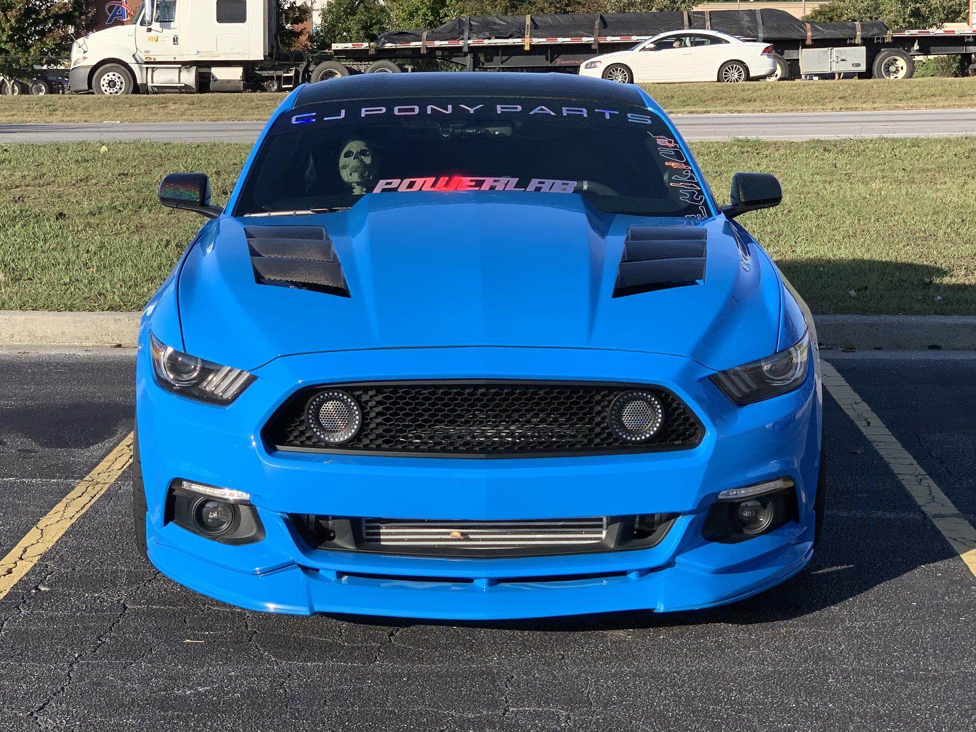 mustang1.jpg