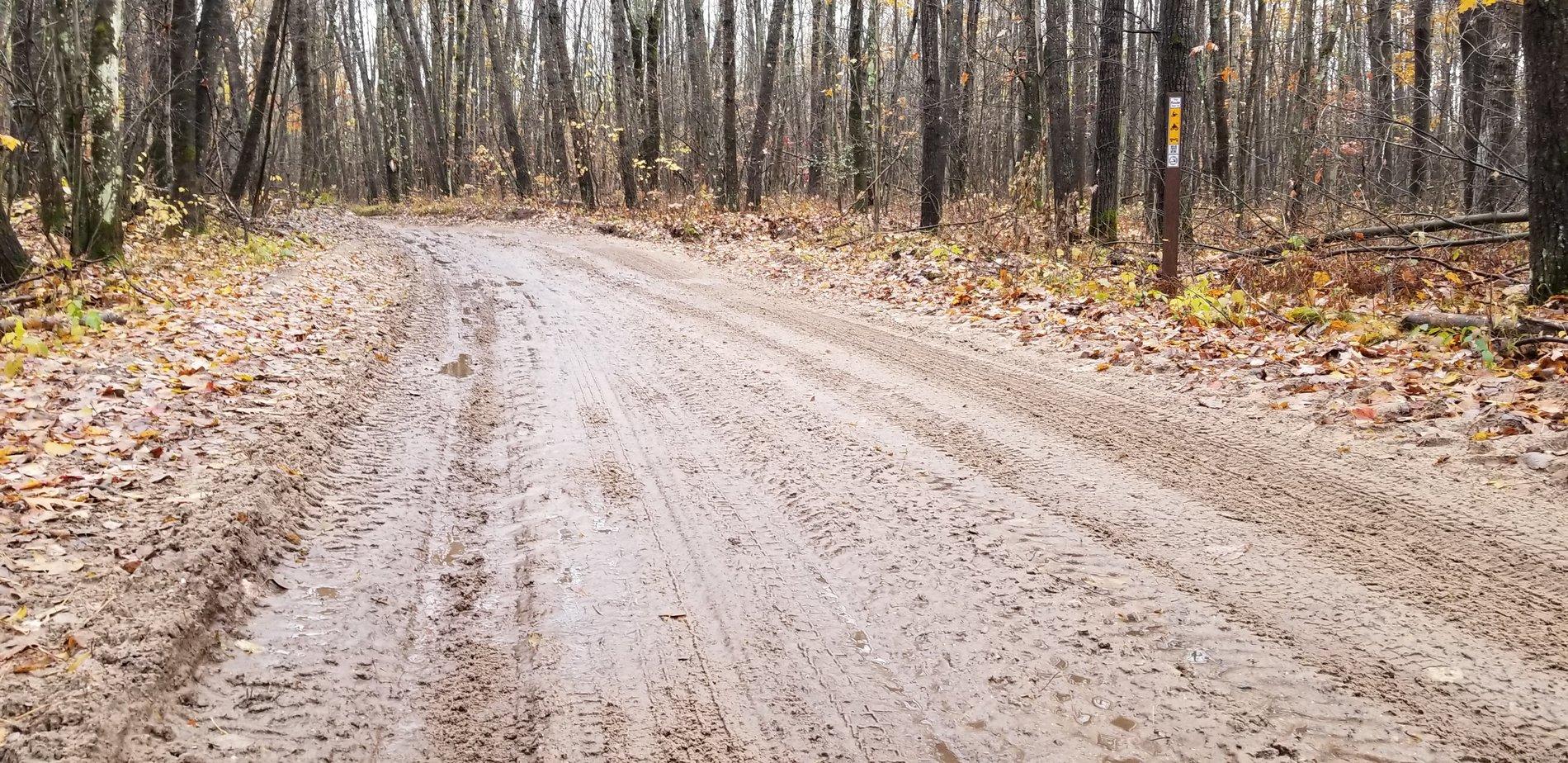 20191102_155528.jpg