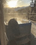 Resized_1727129817718_91940334565082.gif