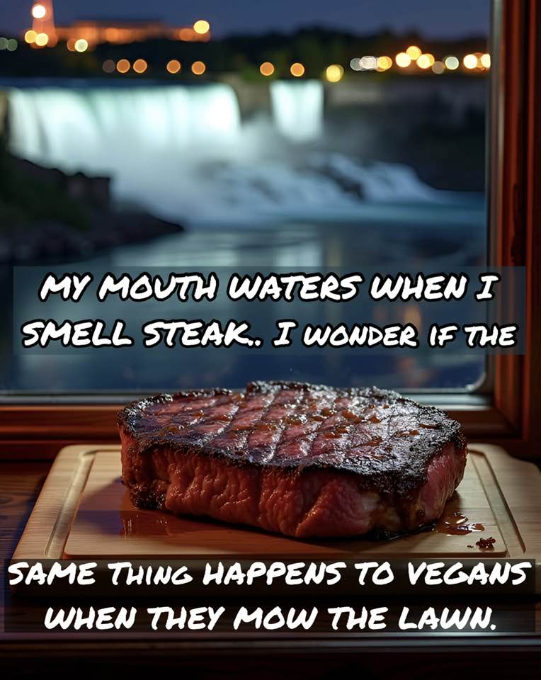 1727133765961-ai.jpg