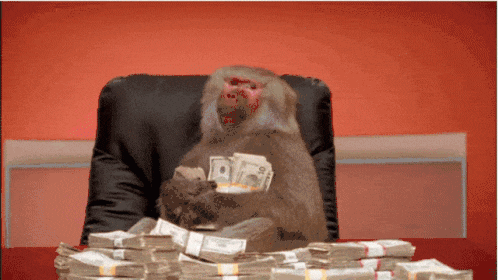 4224587A-A0BA-458C-BB66-1A19FFC343D4.gif