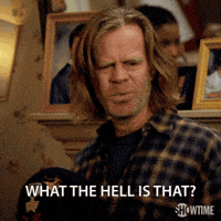 IMG_7441.gif