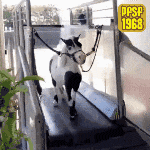 1000002396.gif