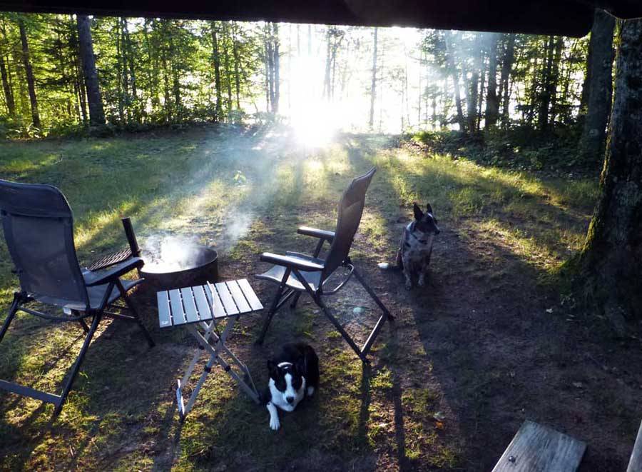 cortdogs0726.jpg