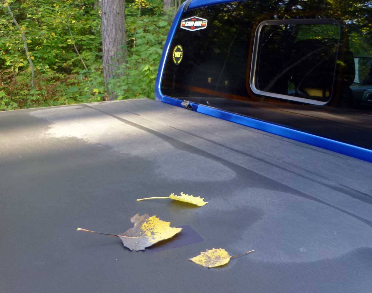 rangerfall0879.jpg