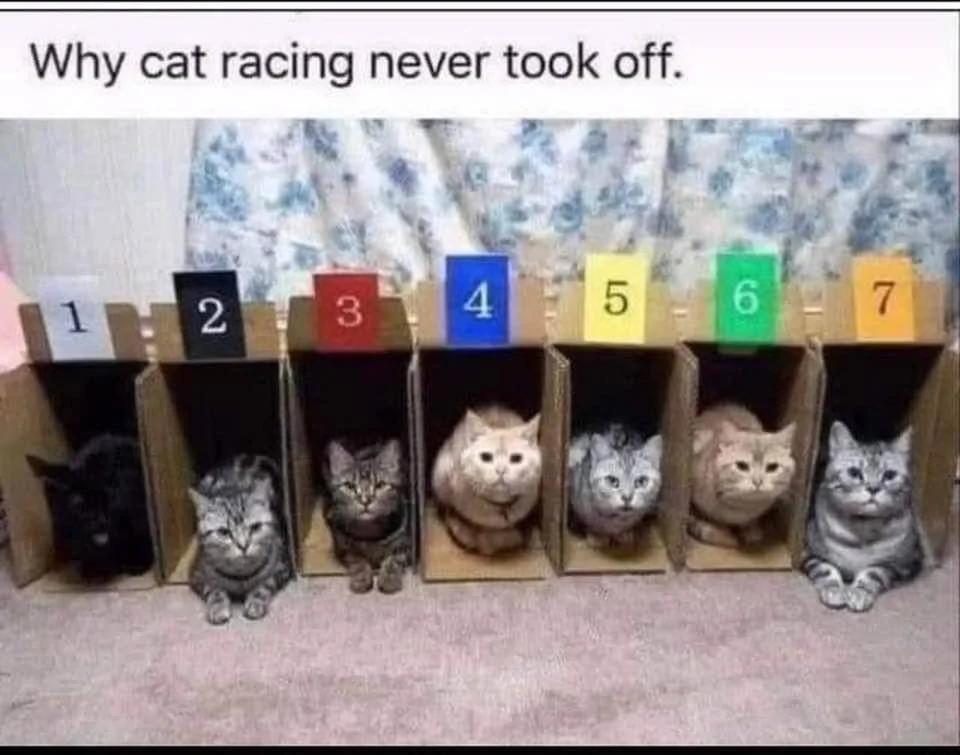 1728047800244-2k.webp