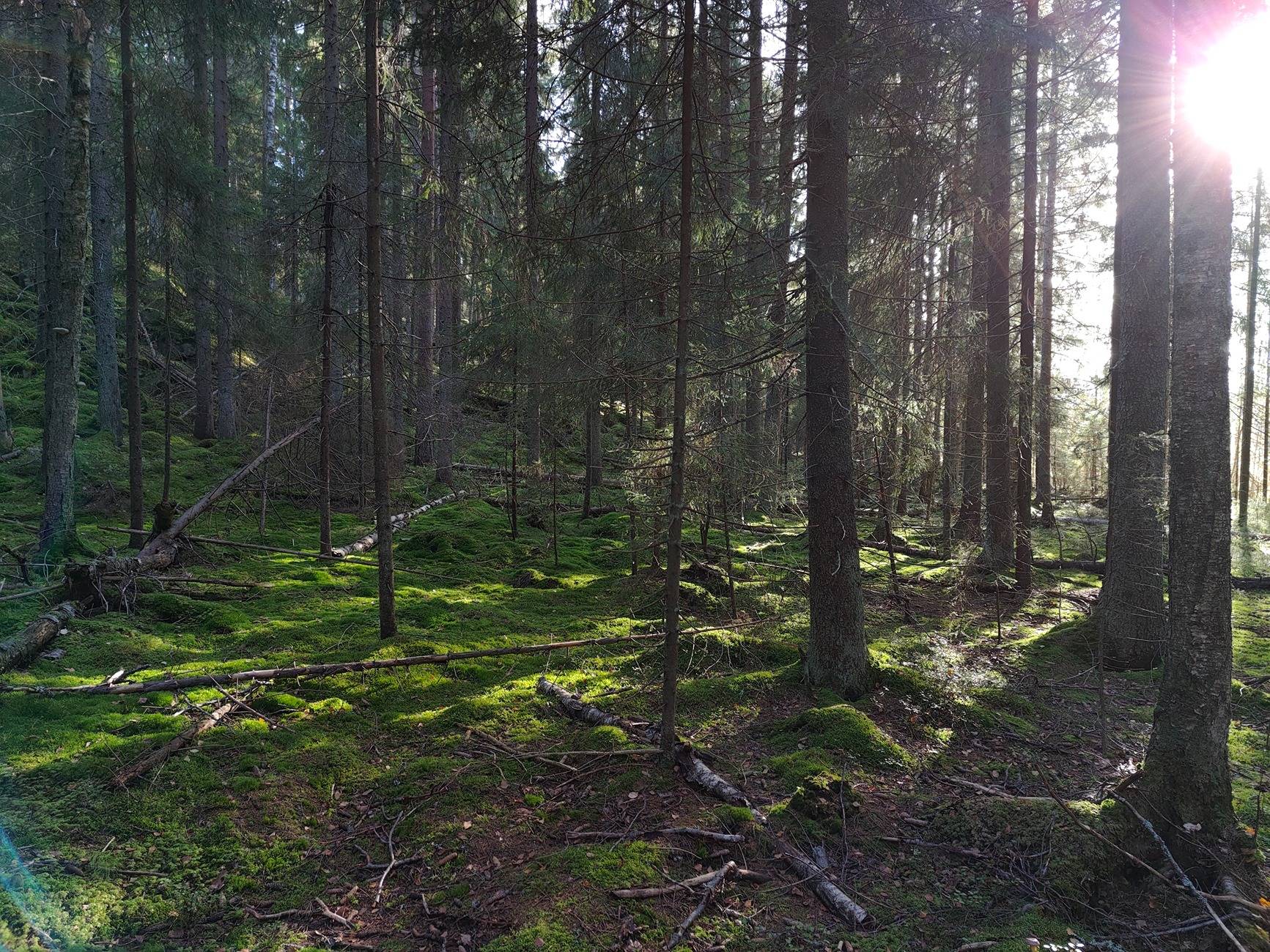 IMG20241005153838.jpg