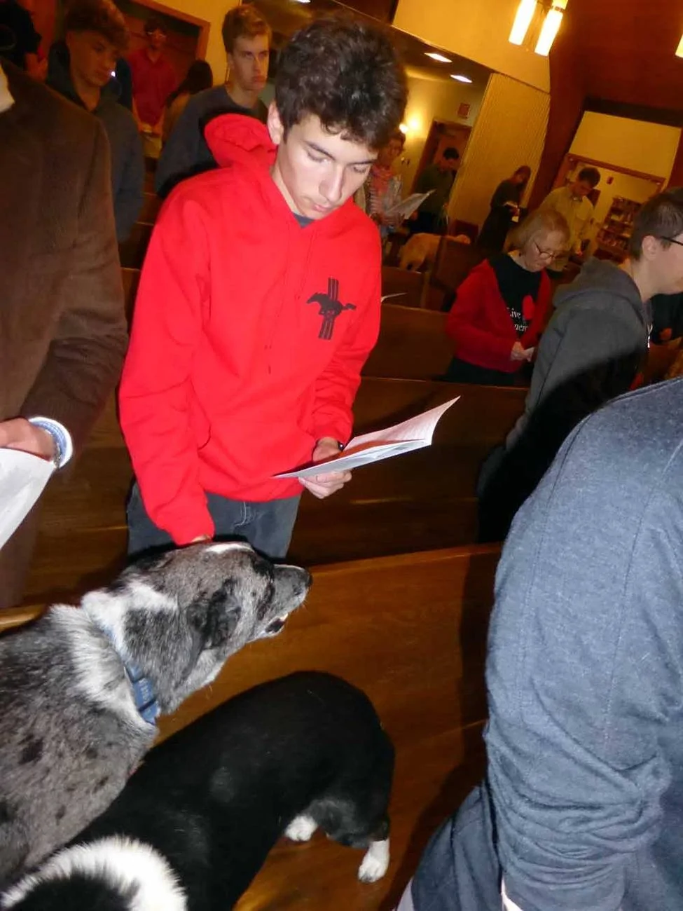 gsdogs994.webp