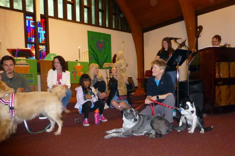 gsdogs0006.jpg