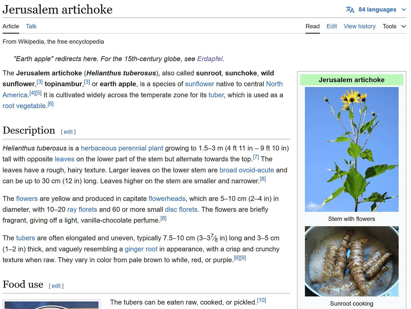 1728615565744-ox.webp
