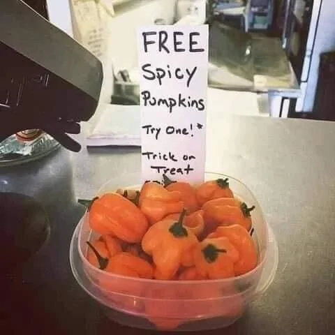 Spicy Pumpkins.webp