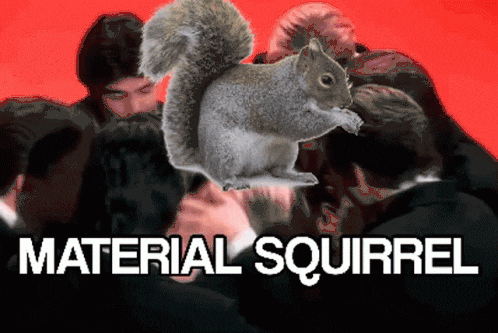 material-squirrel-material.gif