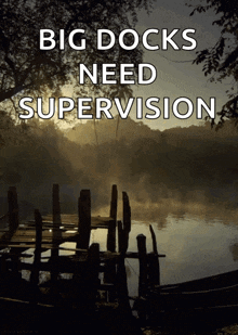 1729270351575-5a.gif