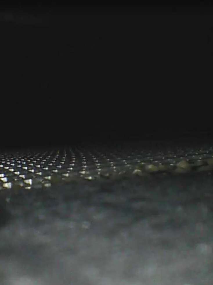 1729454335930-ev.webp