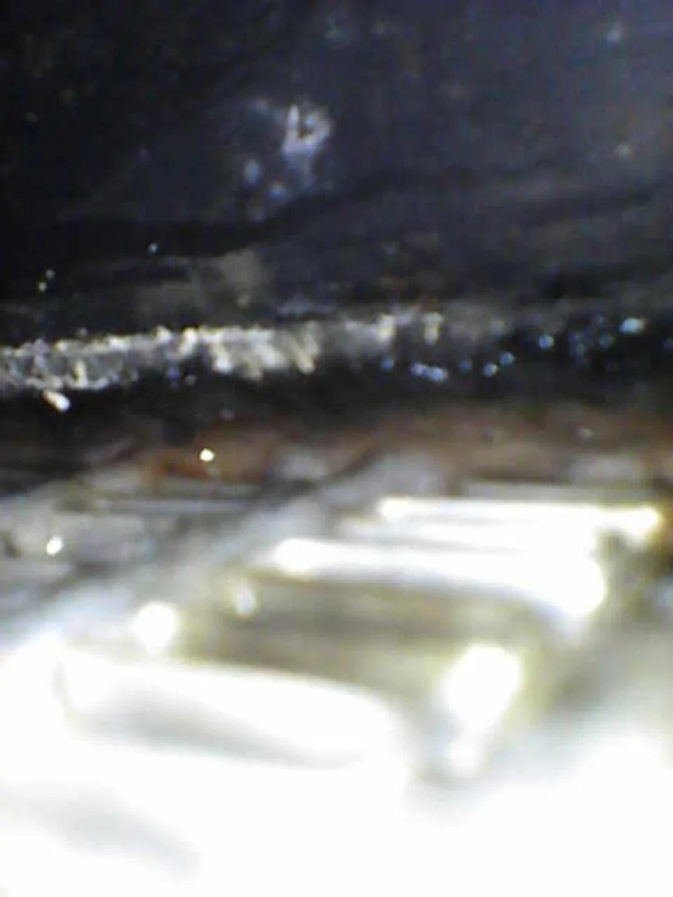 1729454350501-qc.webp